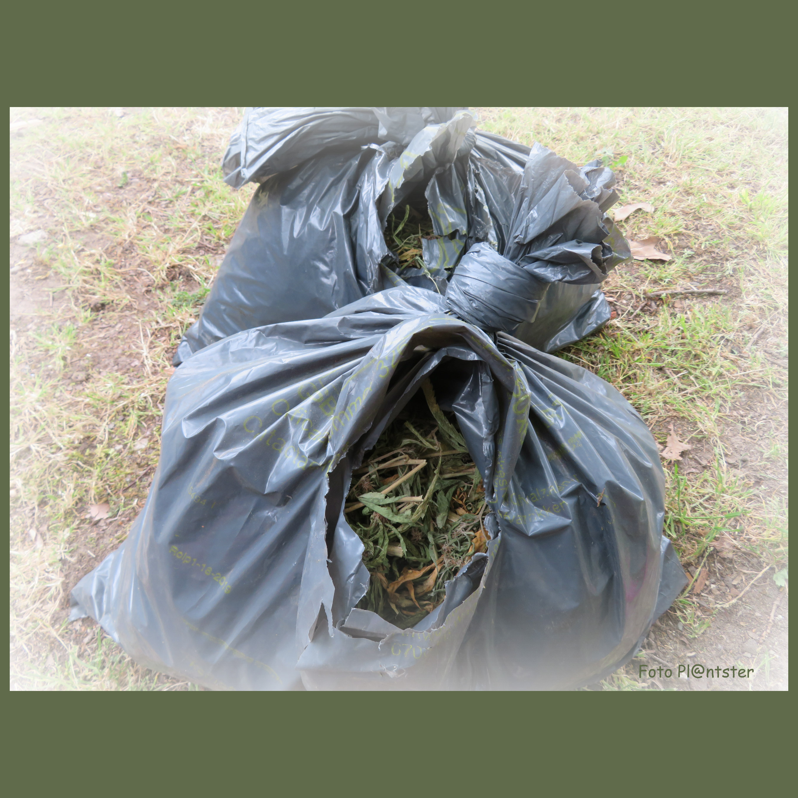 IMG_4525 Zak met bermafval