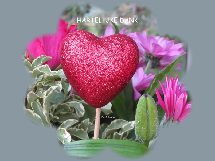 IMG_4578 Hartelijke dank