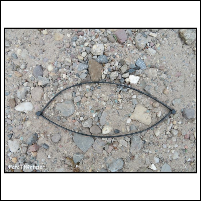 IMG_4985 Waarop het oog valt