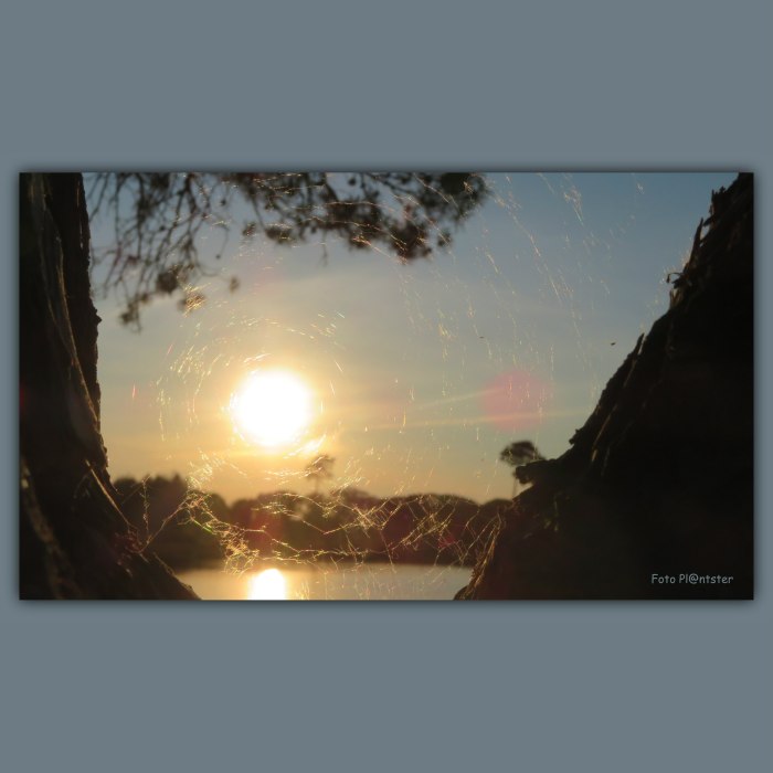 IMG_5785 Tussendoortje