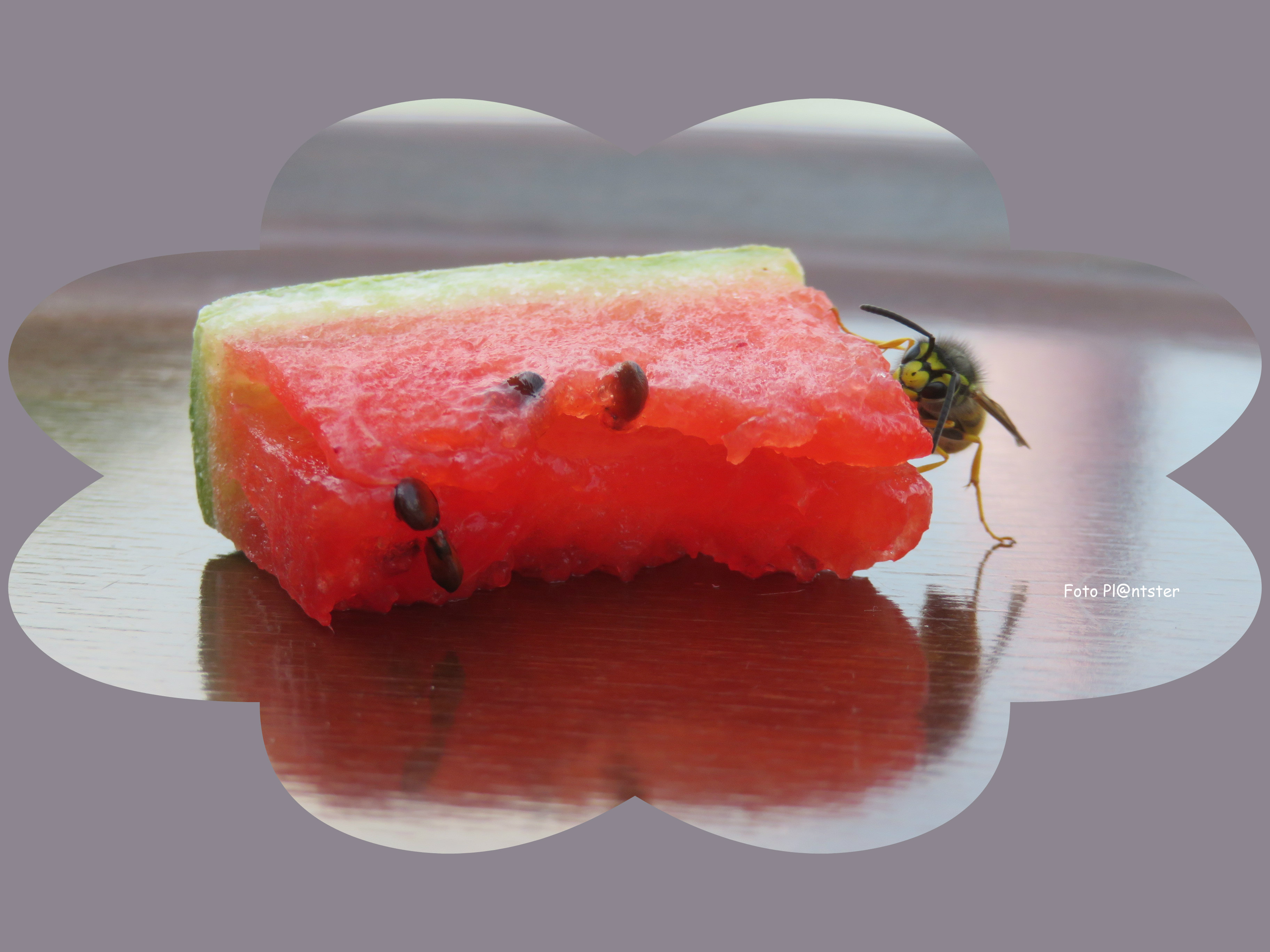 IMG_9466 Sappig watermeloen