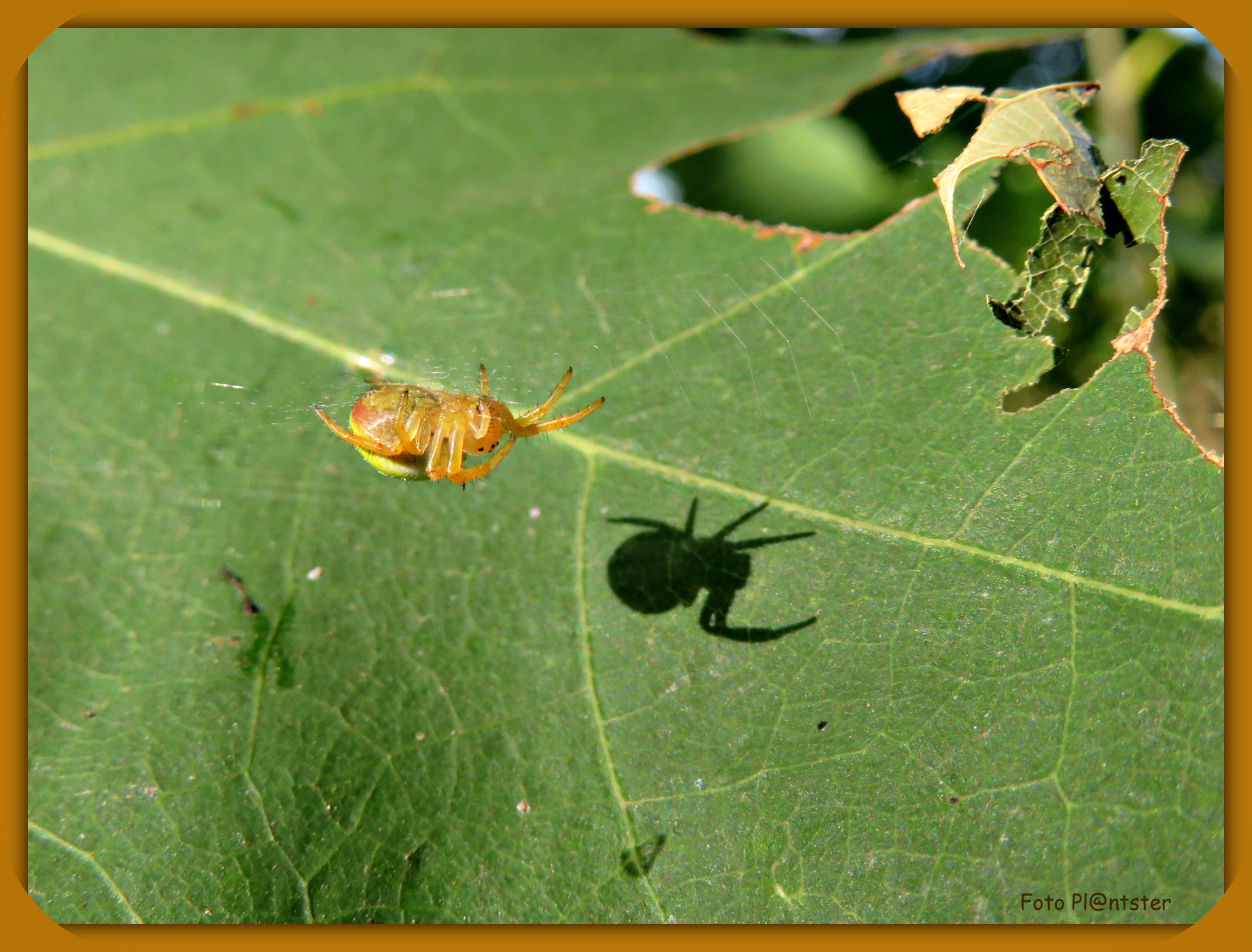 IMG_5745 In het zonnetje
