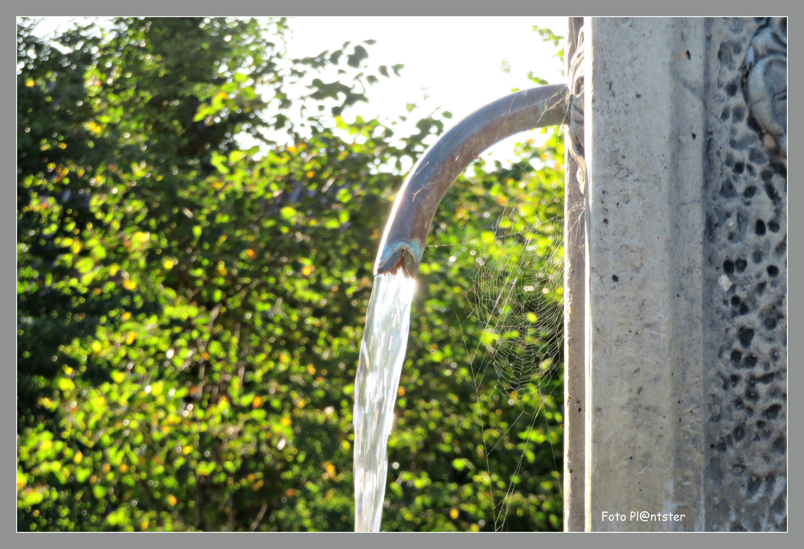 IMG_5956 Water fontein