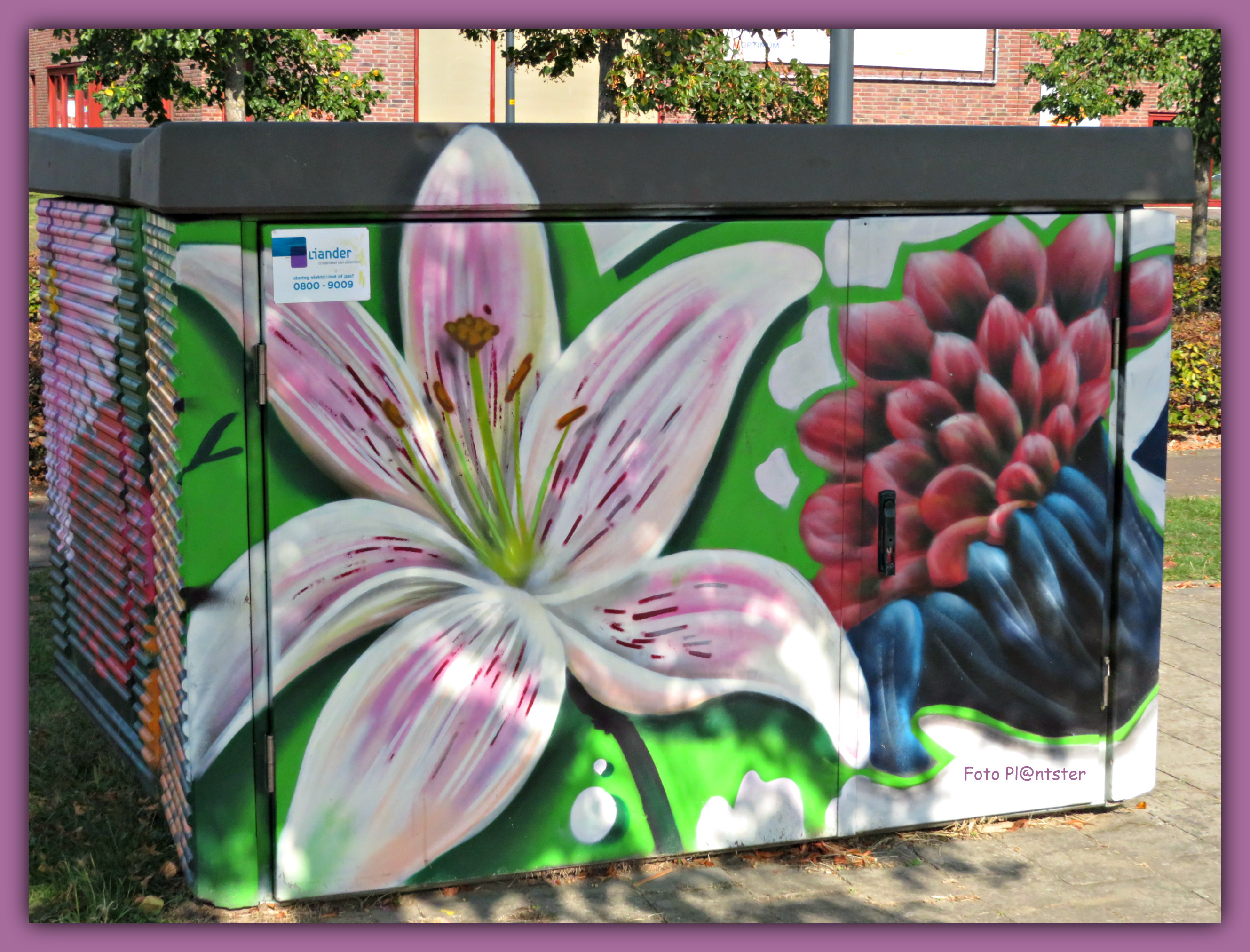 IMG_6469 Straatkunst