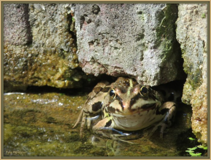 IMG_8280 Op beschutte plek