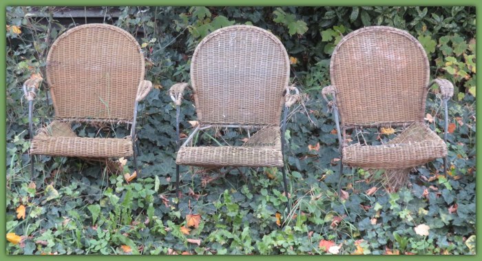 IMG_2218 Wie van de drie