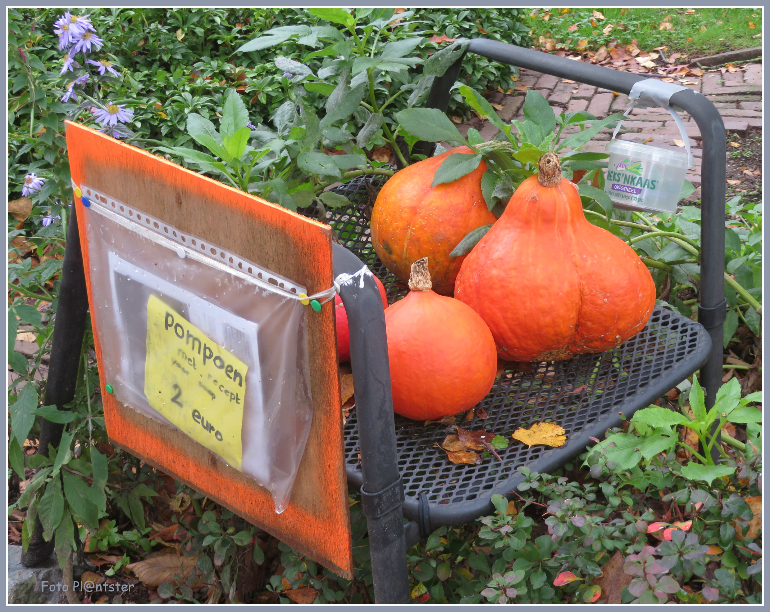 IMG_2497 Pompoensoep