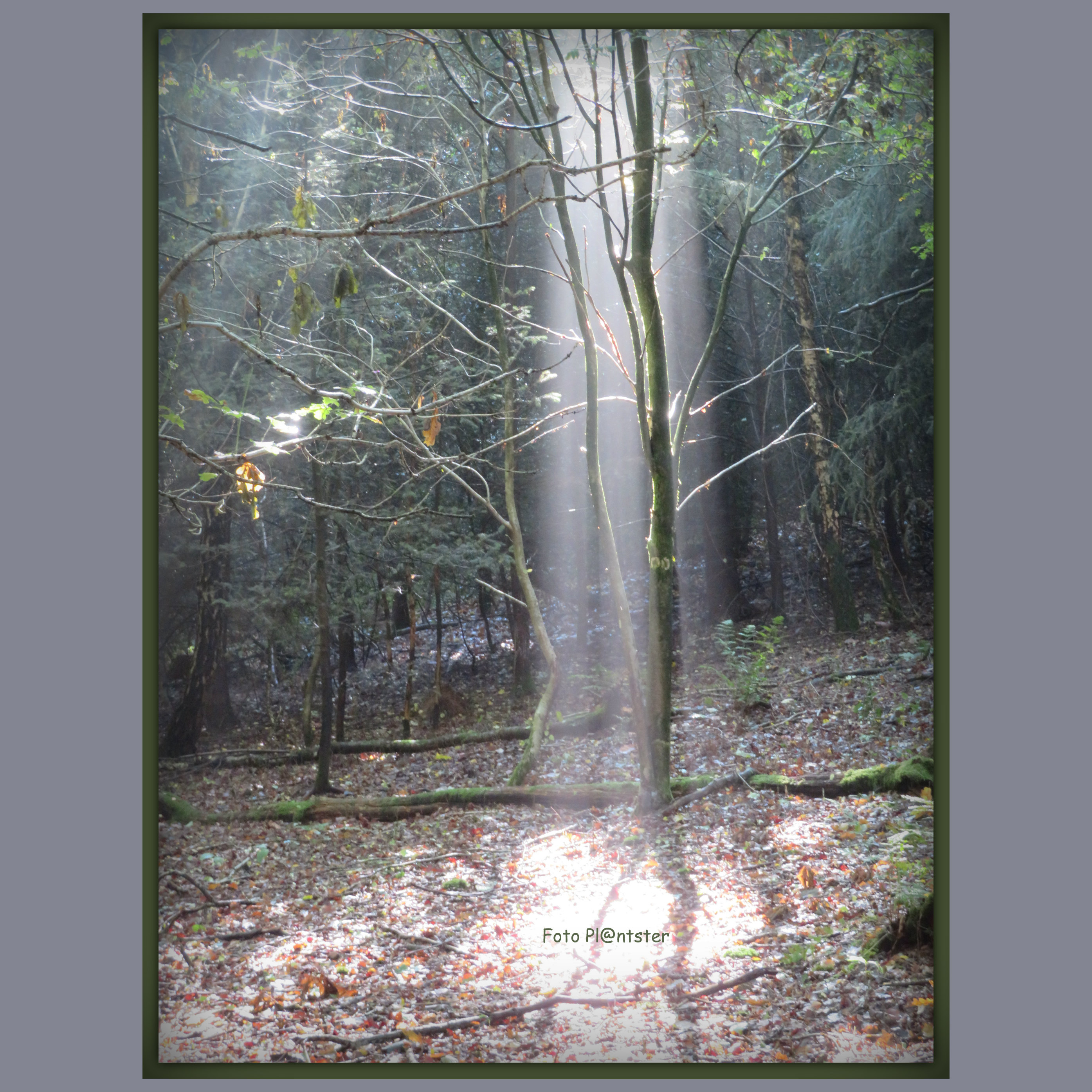 IMG_9022 In het licht gezet