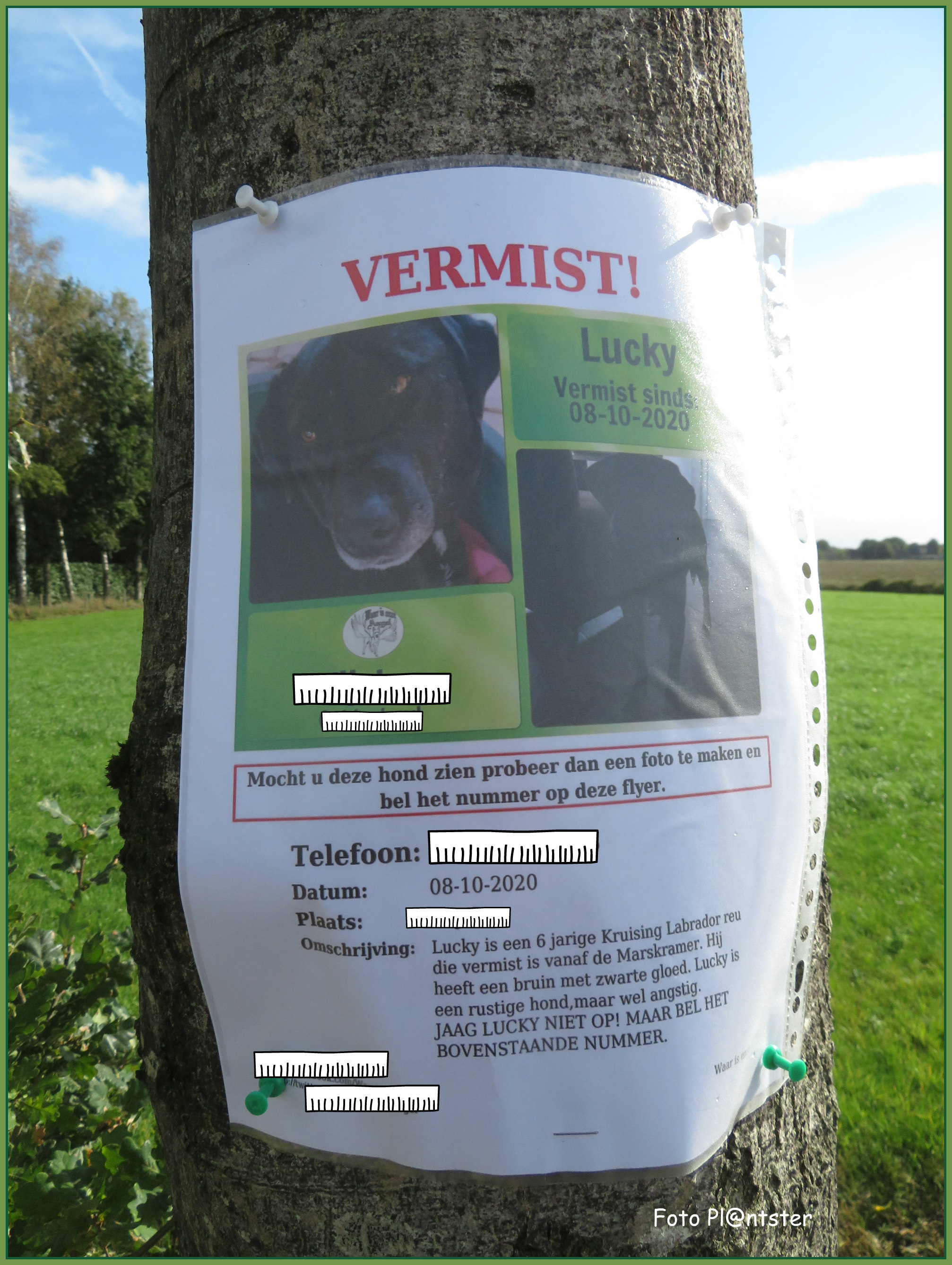 IMG_9508 Vermist