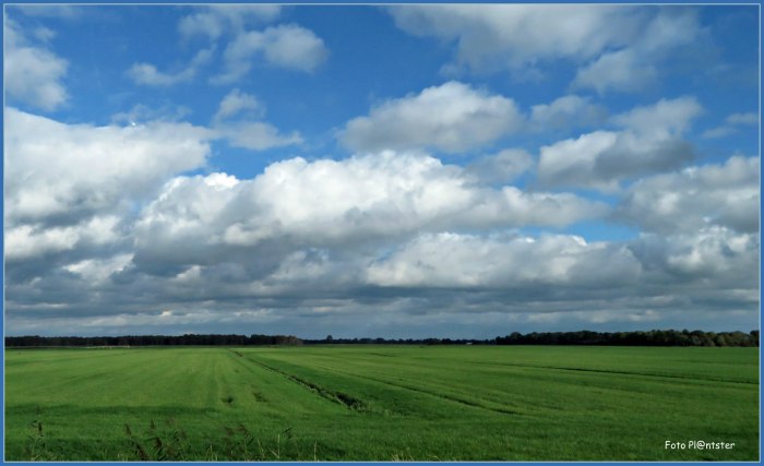 IMG_1966 Luchtig plaatje