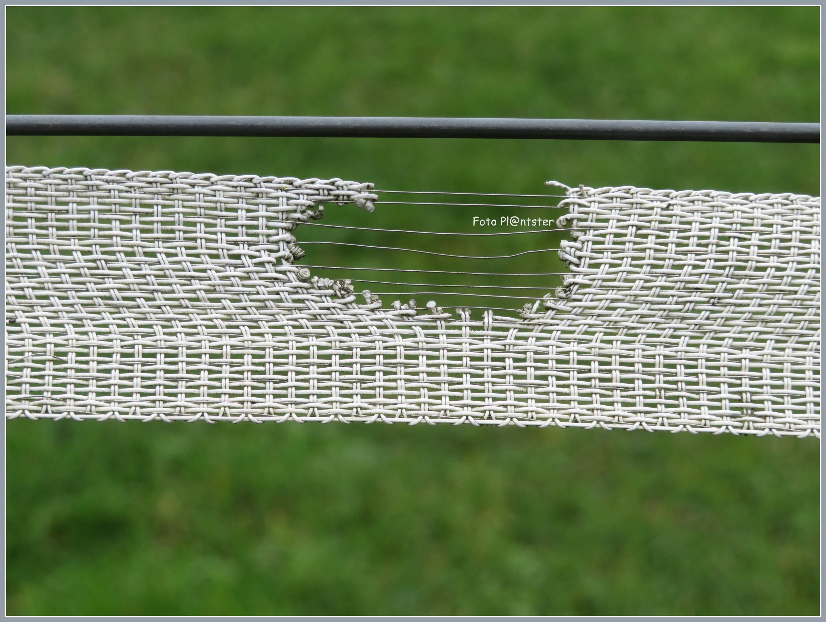 IMG_2525 Door het lint