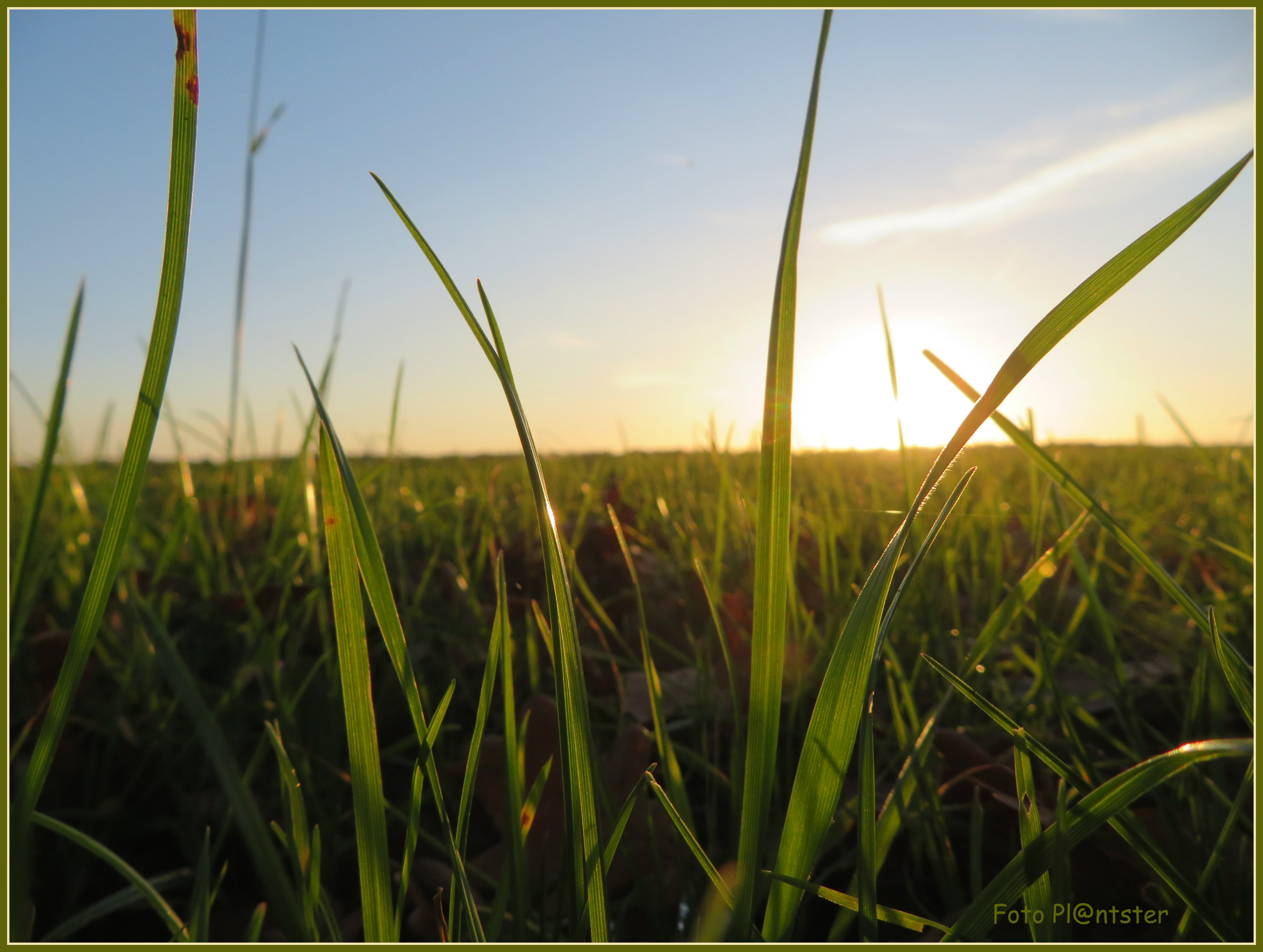 IMG_5049 Zonnig middag