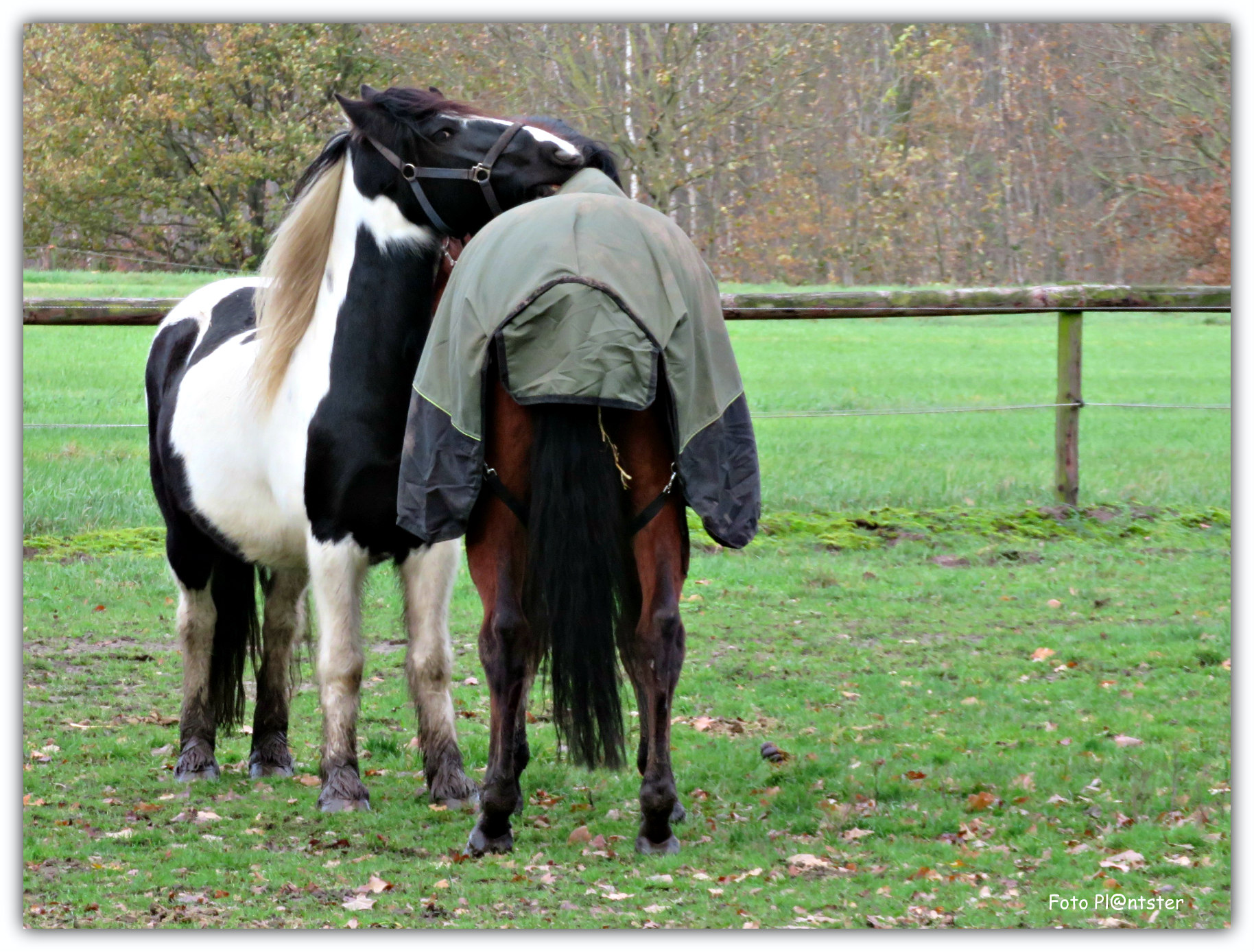 IMG_6220 Tijd voor elkaar