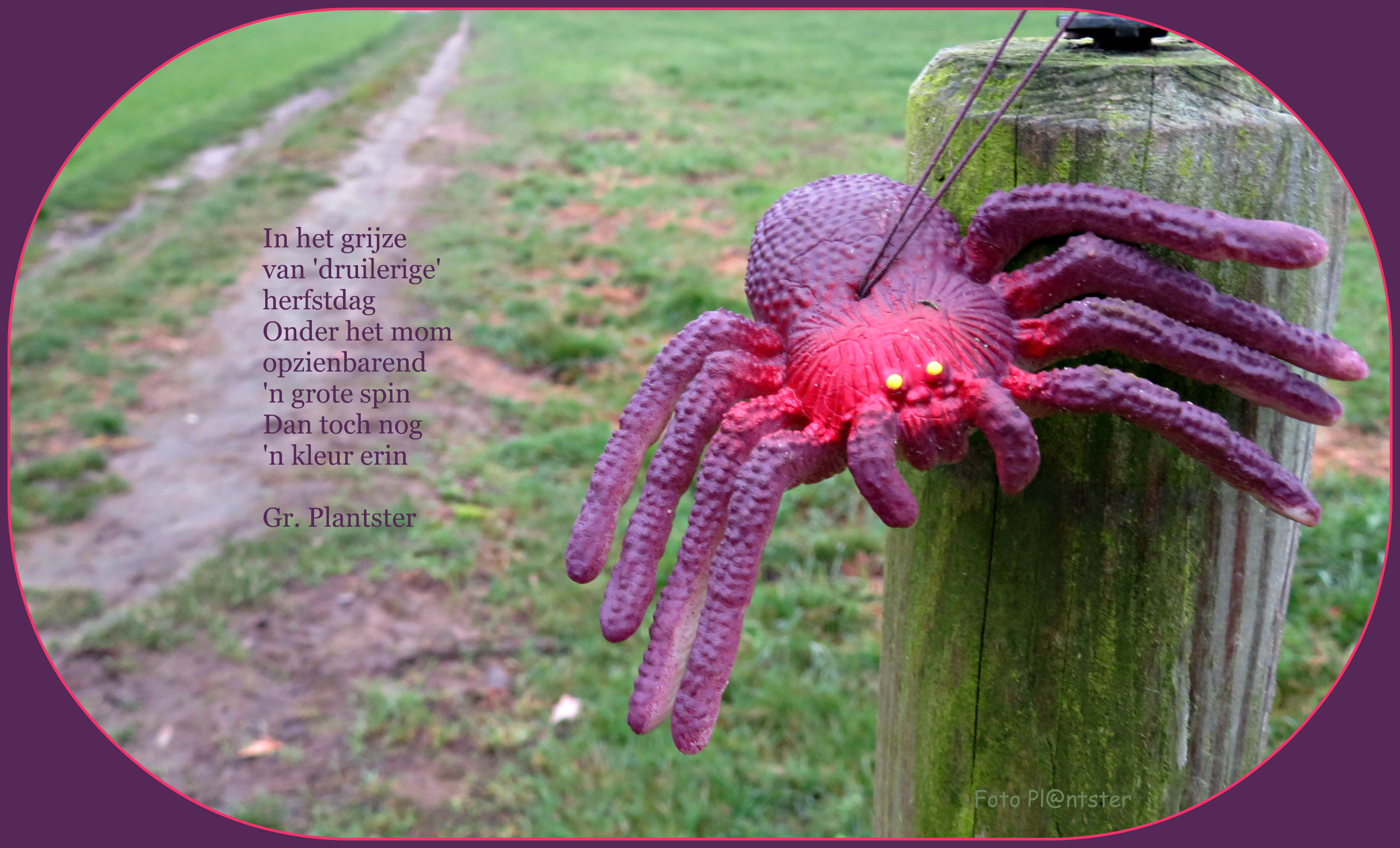 IMG_6490 In het druilige van de dag