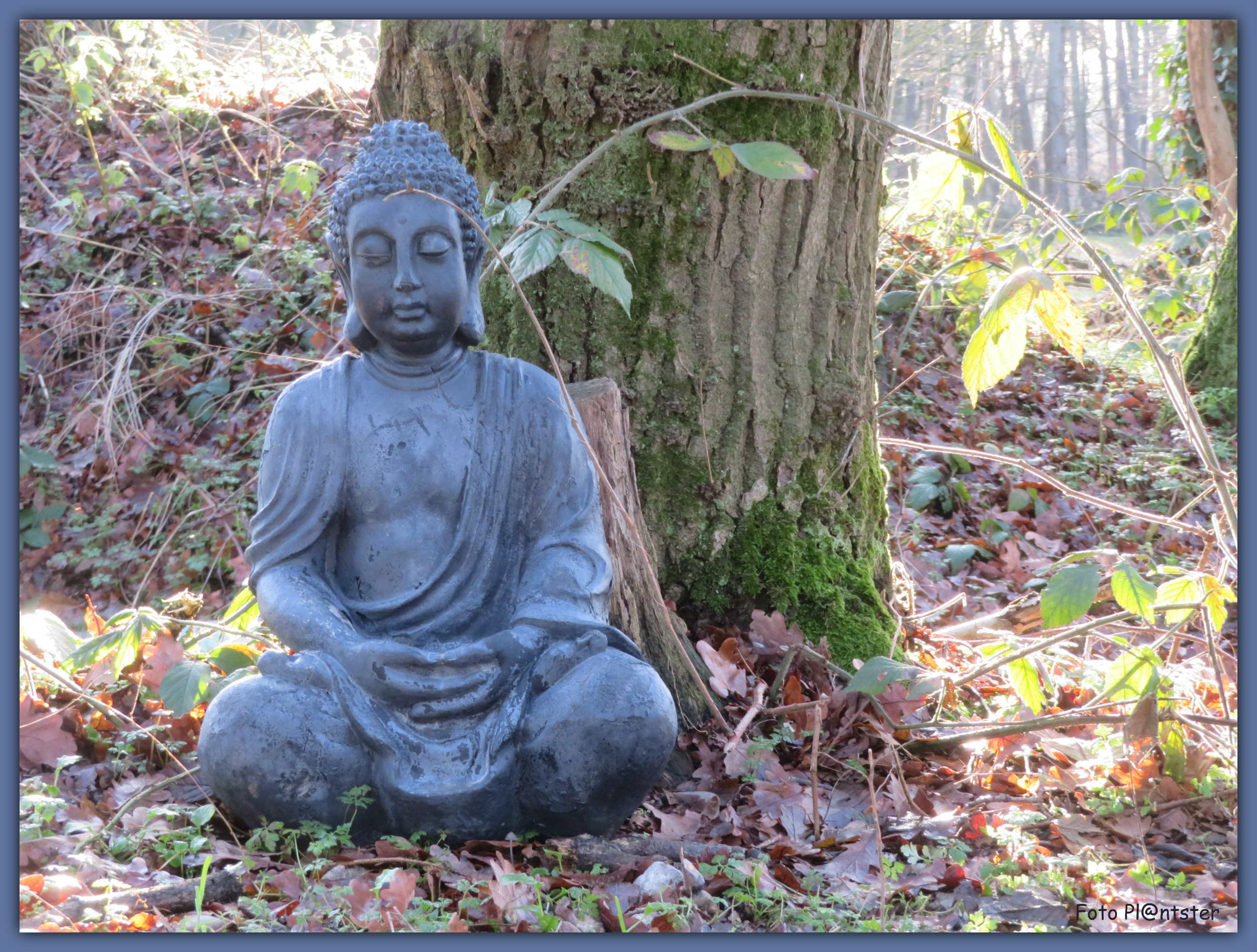 IMG_8613 Boeda beeld