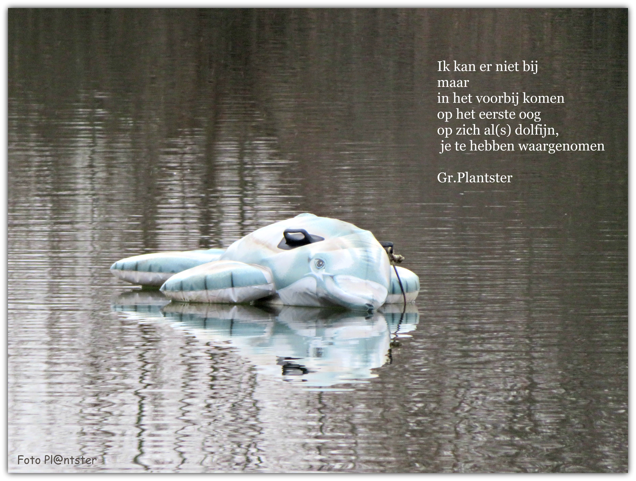 IMG_0028 Dolfijn