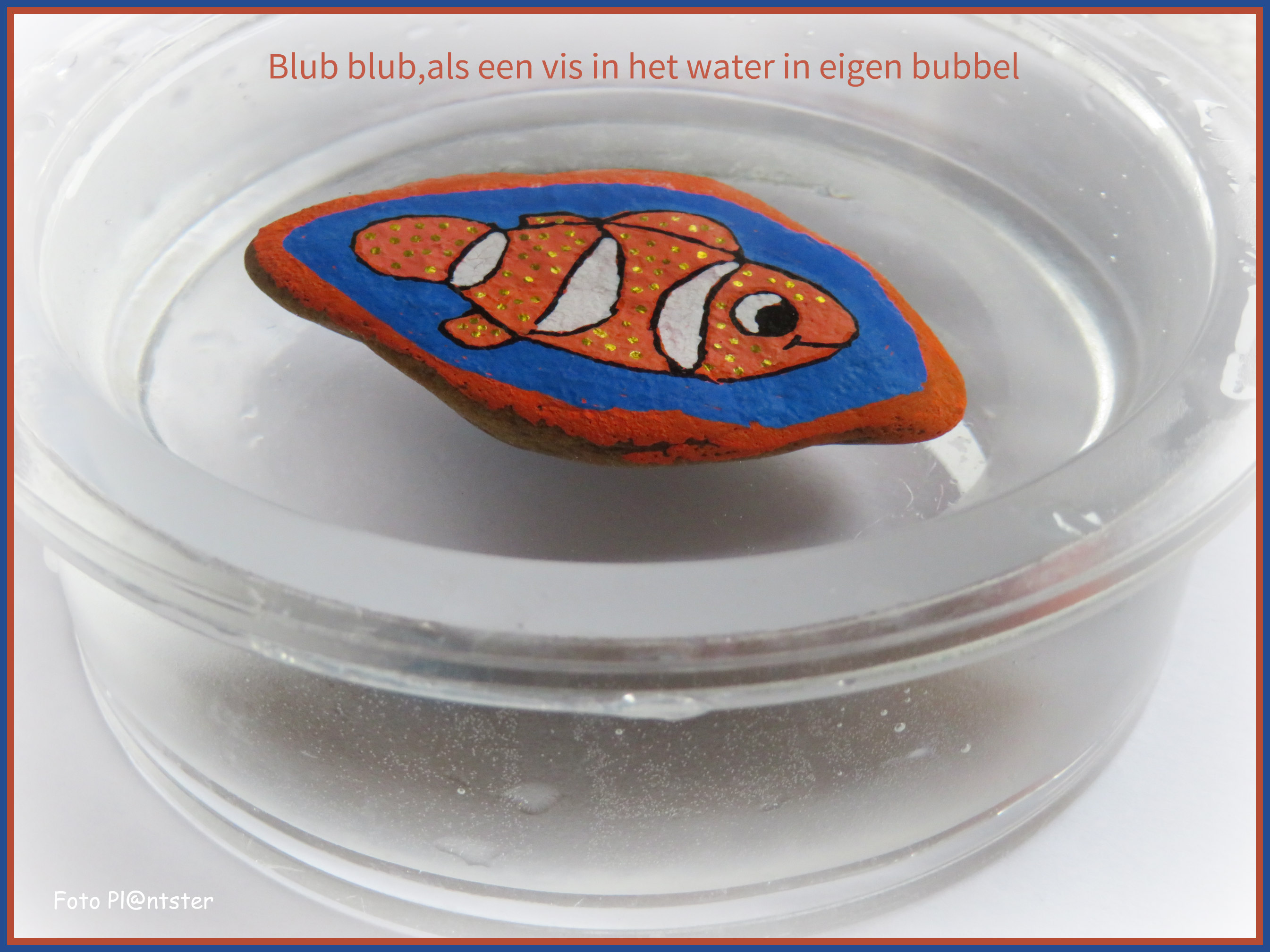 IMG_0369 Blub blub