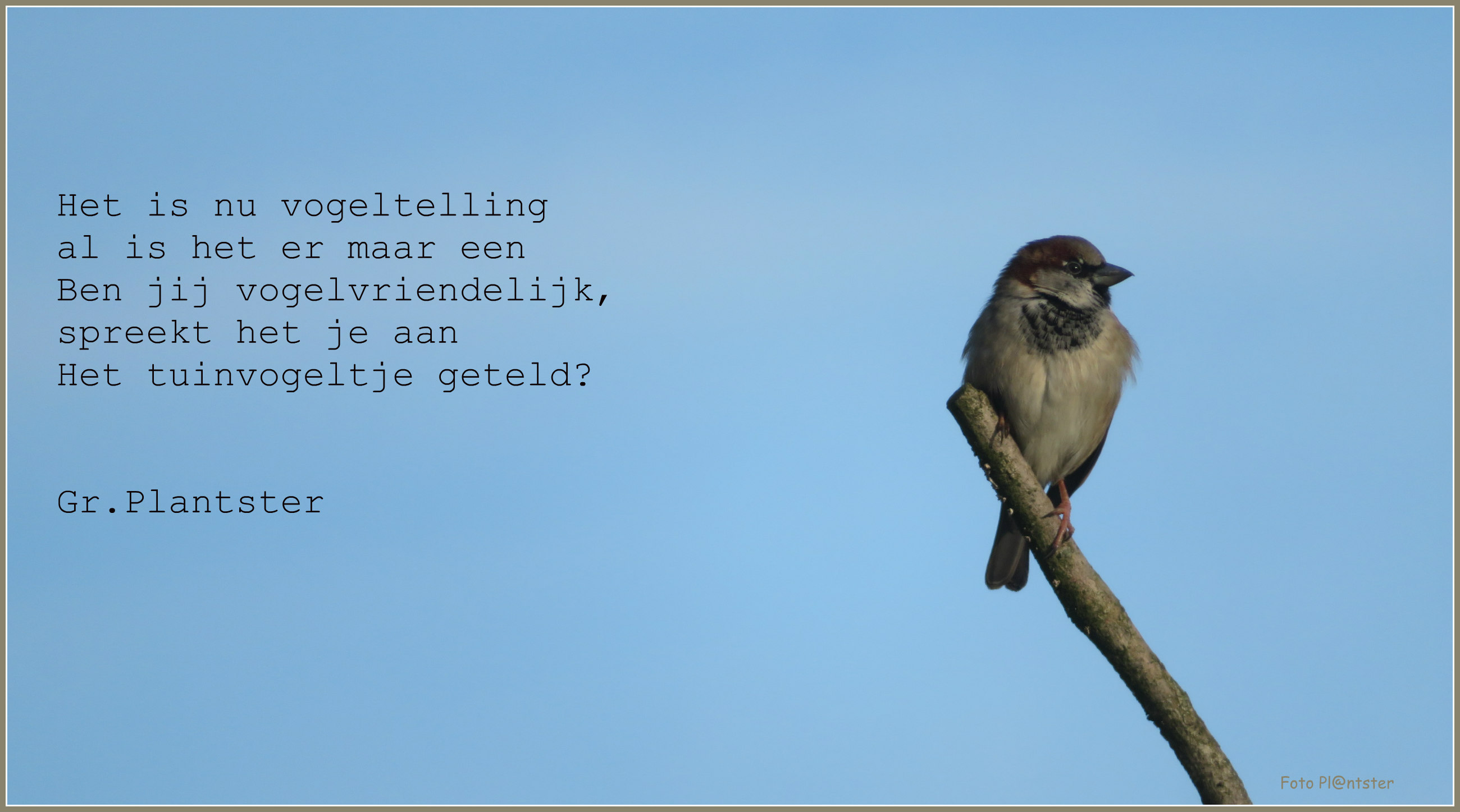 IMG_1633 Tuinvogeltelling