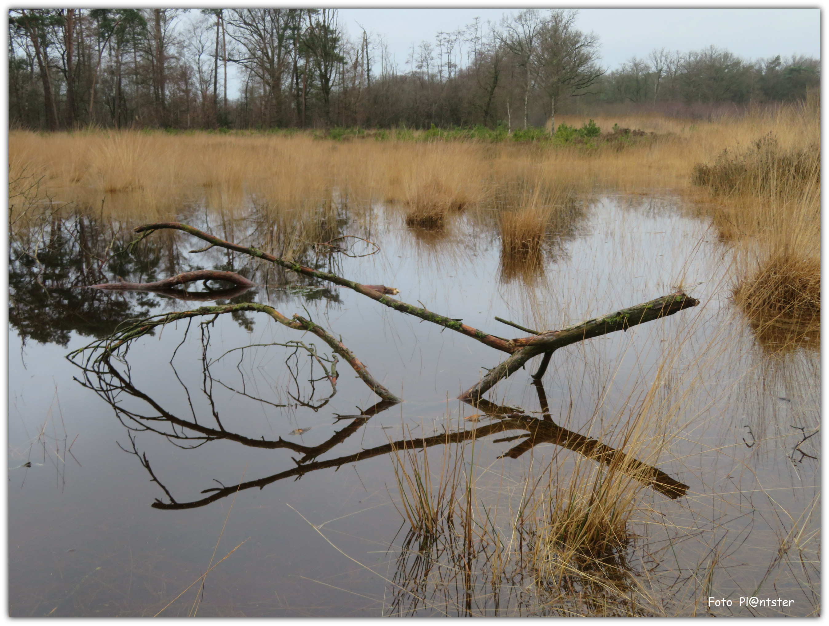 IMG_8806 Waterspiegeling