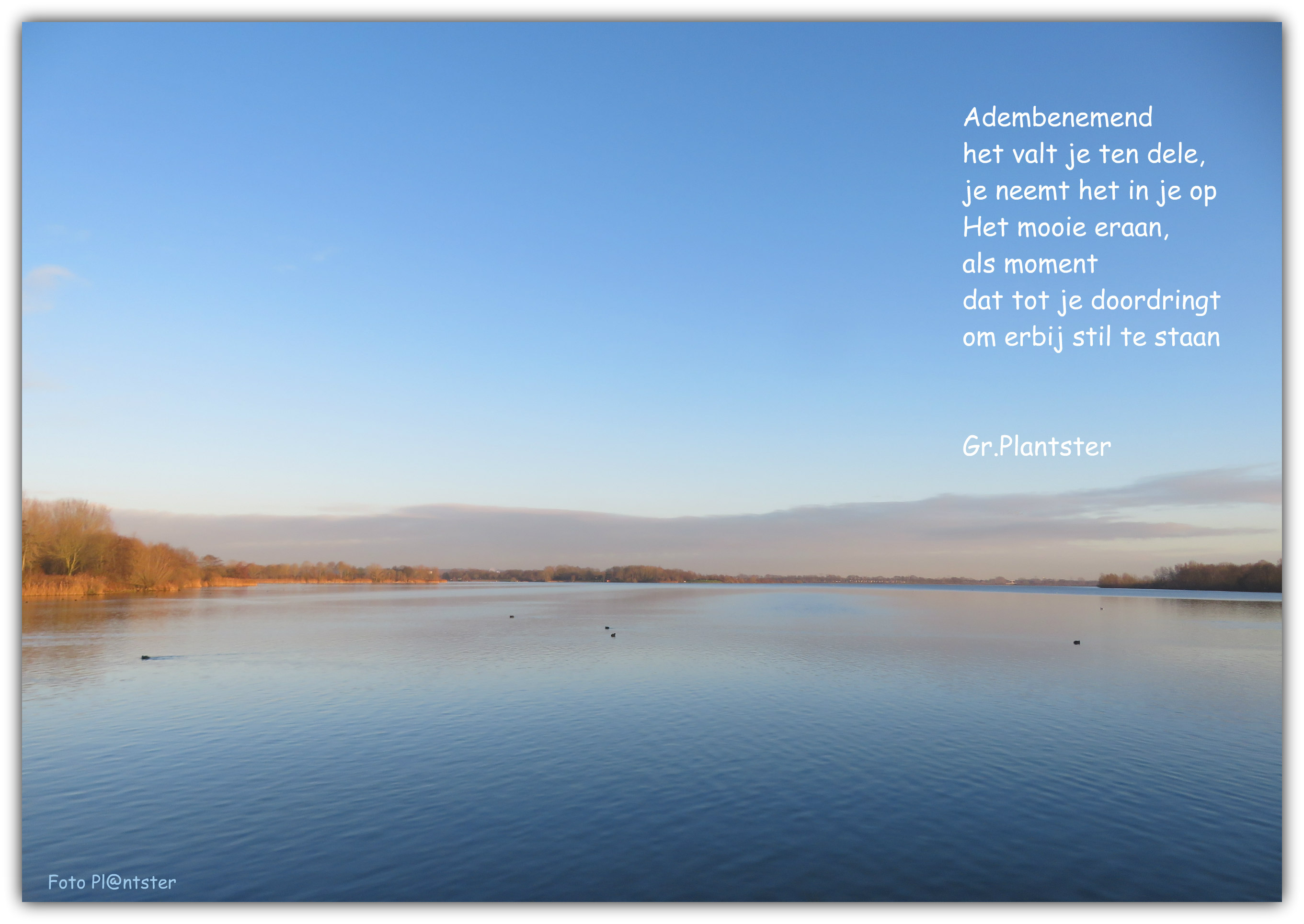 IMG_9546 Verrassend mooi