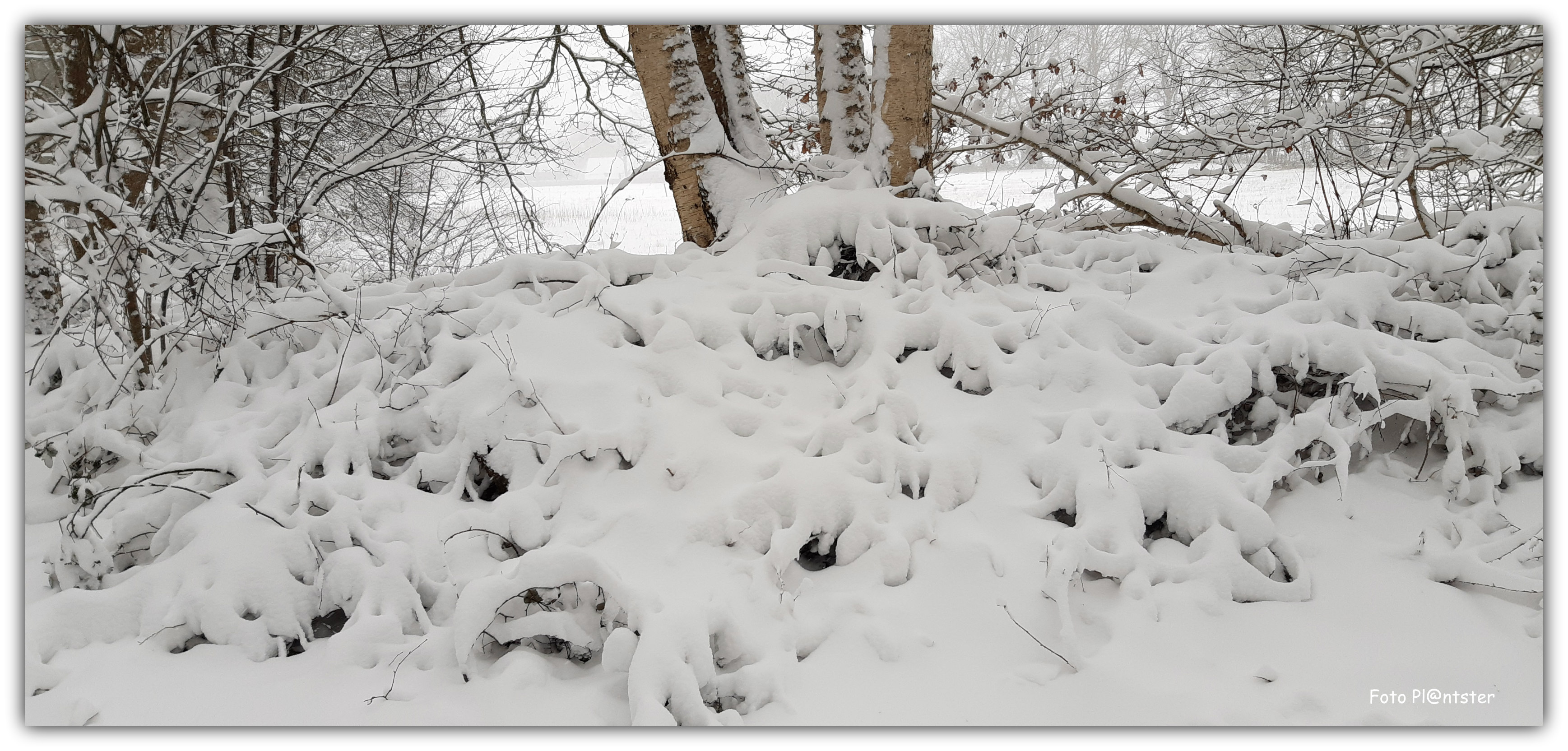 20210207_153840 Winterse zondag