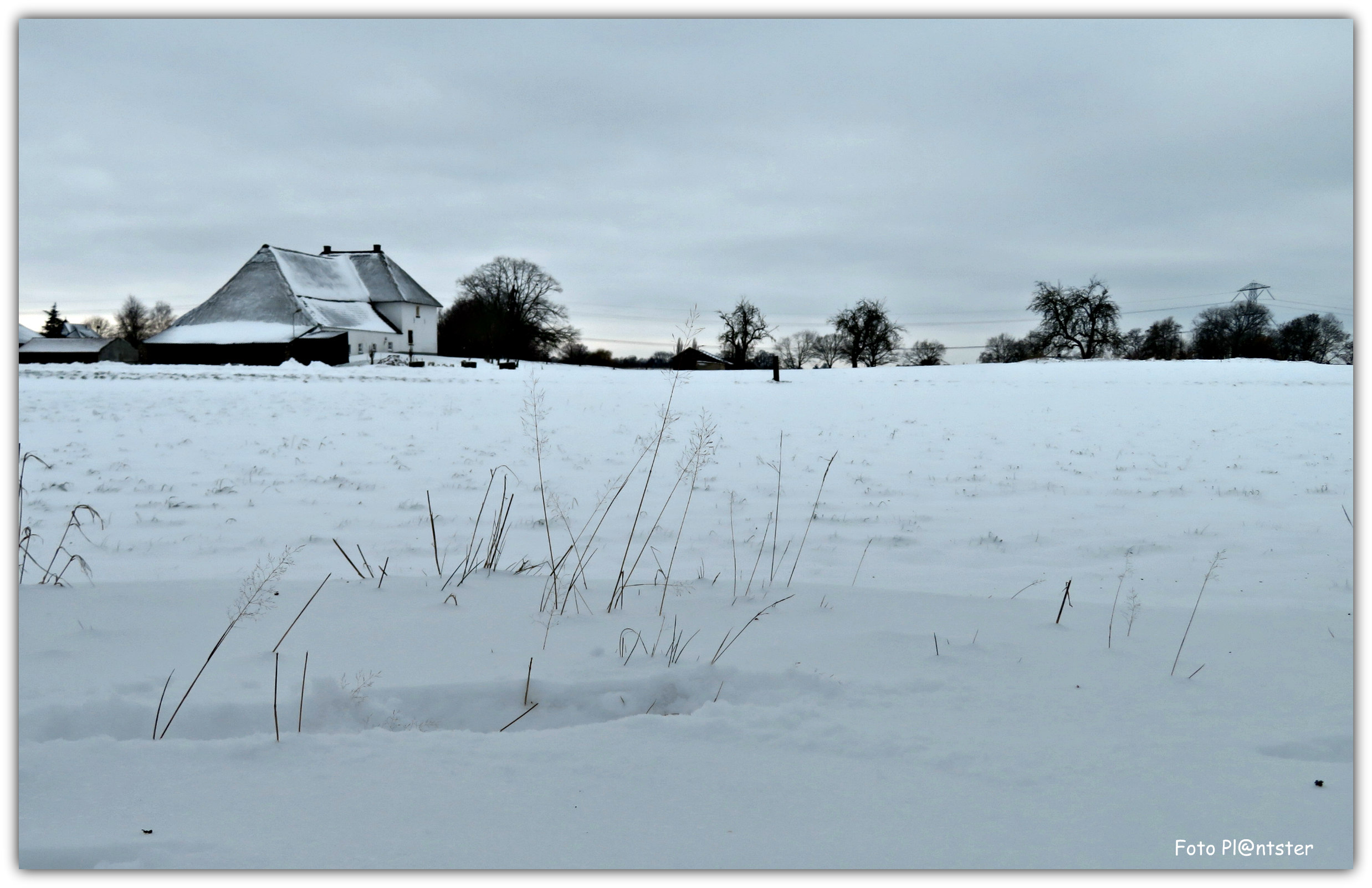 IMG_2264 Landelijk gelegen