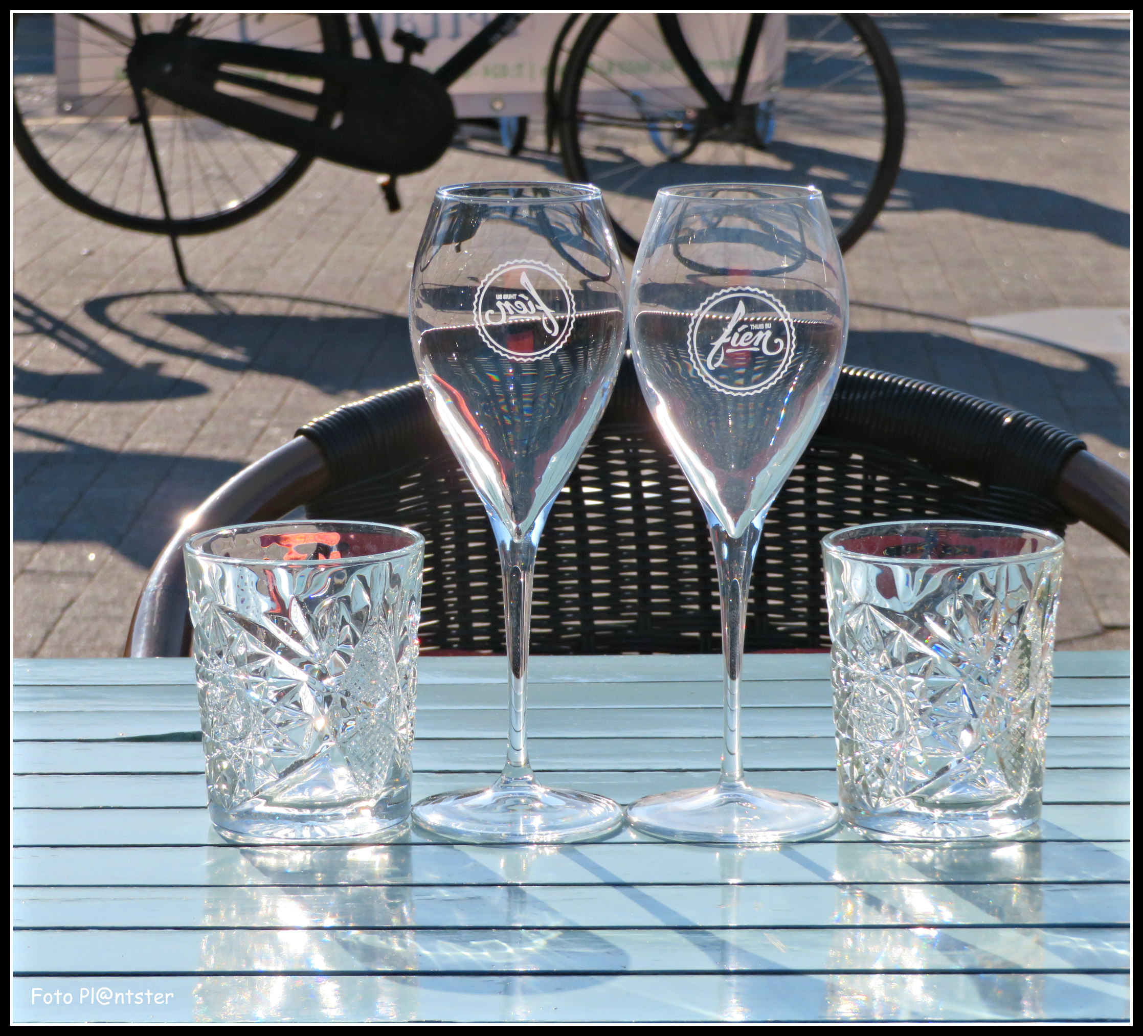 Terras glas