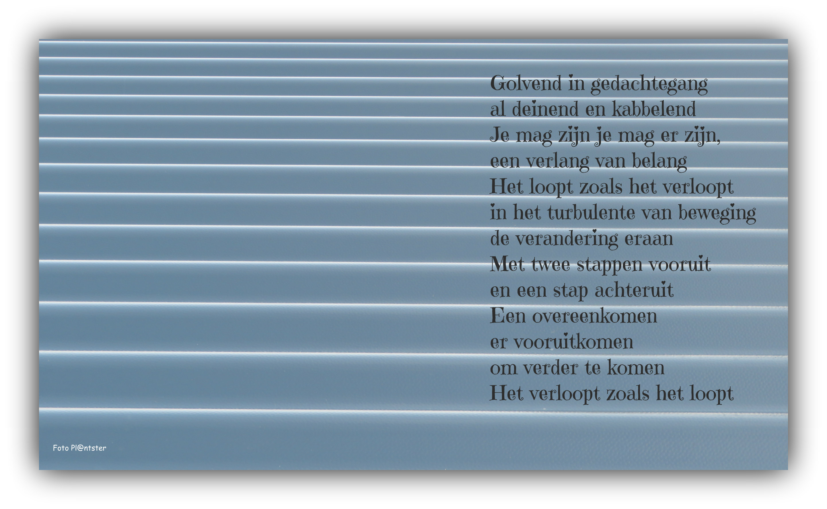 IMG_6302 Golvende gedachten