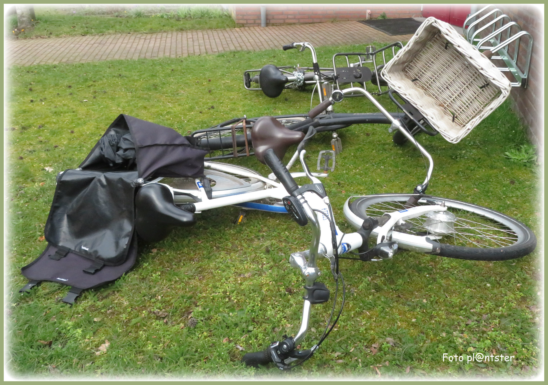 IMG_6517 Gevallen partij