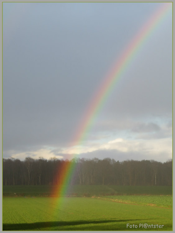 IMG_6969 Regenboog