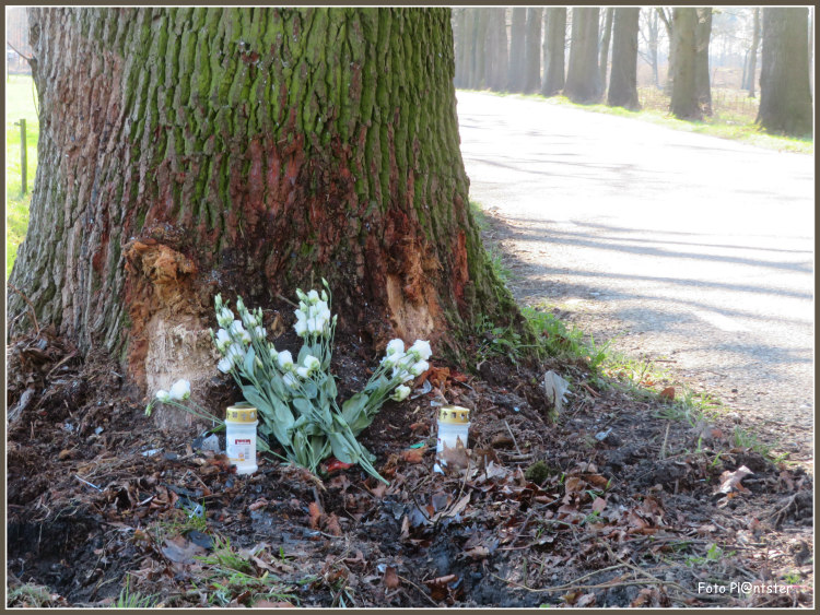 IMG_7034 Met respect