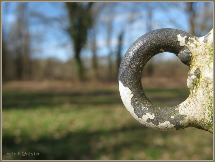 IMG_7209 Om iets door het ringetje te halen