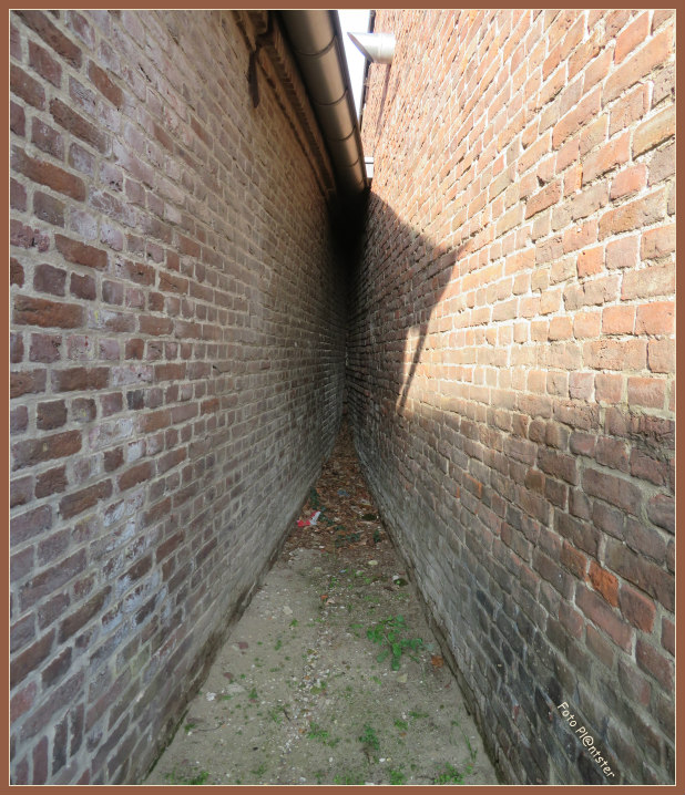 IMG_8085 We komen tezamen