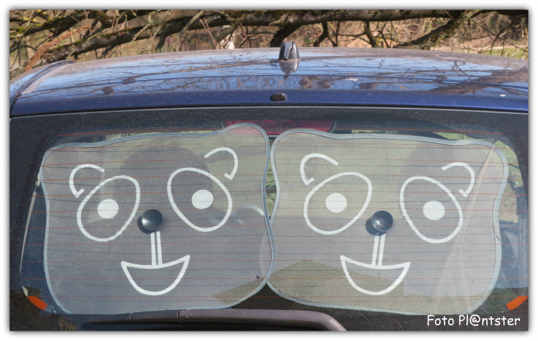 IMG_8785 Tweee beertjes