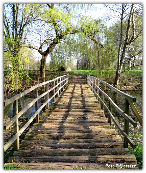 IMG_9045 Op rolletjes