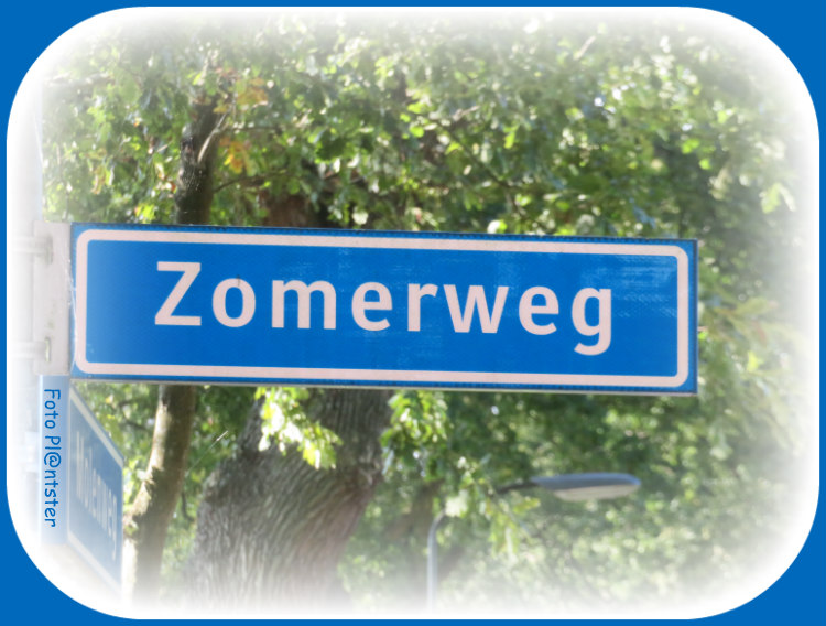 IMG_9691! Zomer weg
