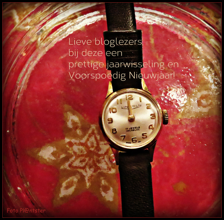 IMG_2090 Met de beste wensen 2022