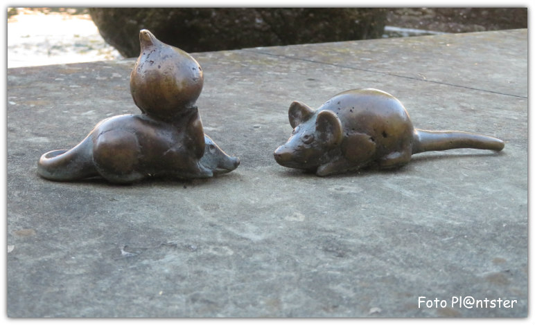 IMG_2320 Kat en muis