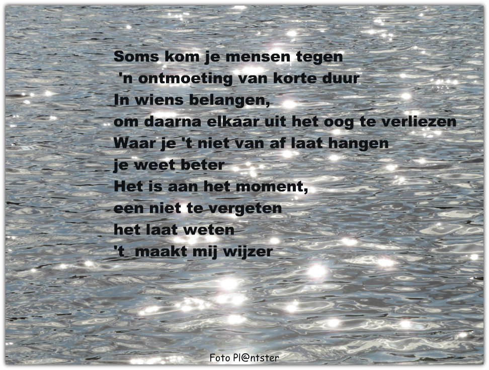 IMG_4995! Vluchtige ontmoeting