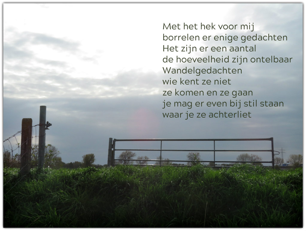 IMG_8230 In de wandelgang een gedachtegang