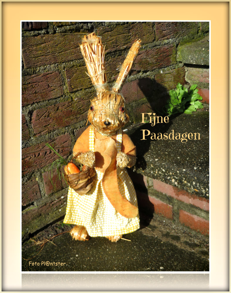 IMG_2344! Fijne Paadagen!