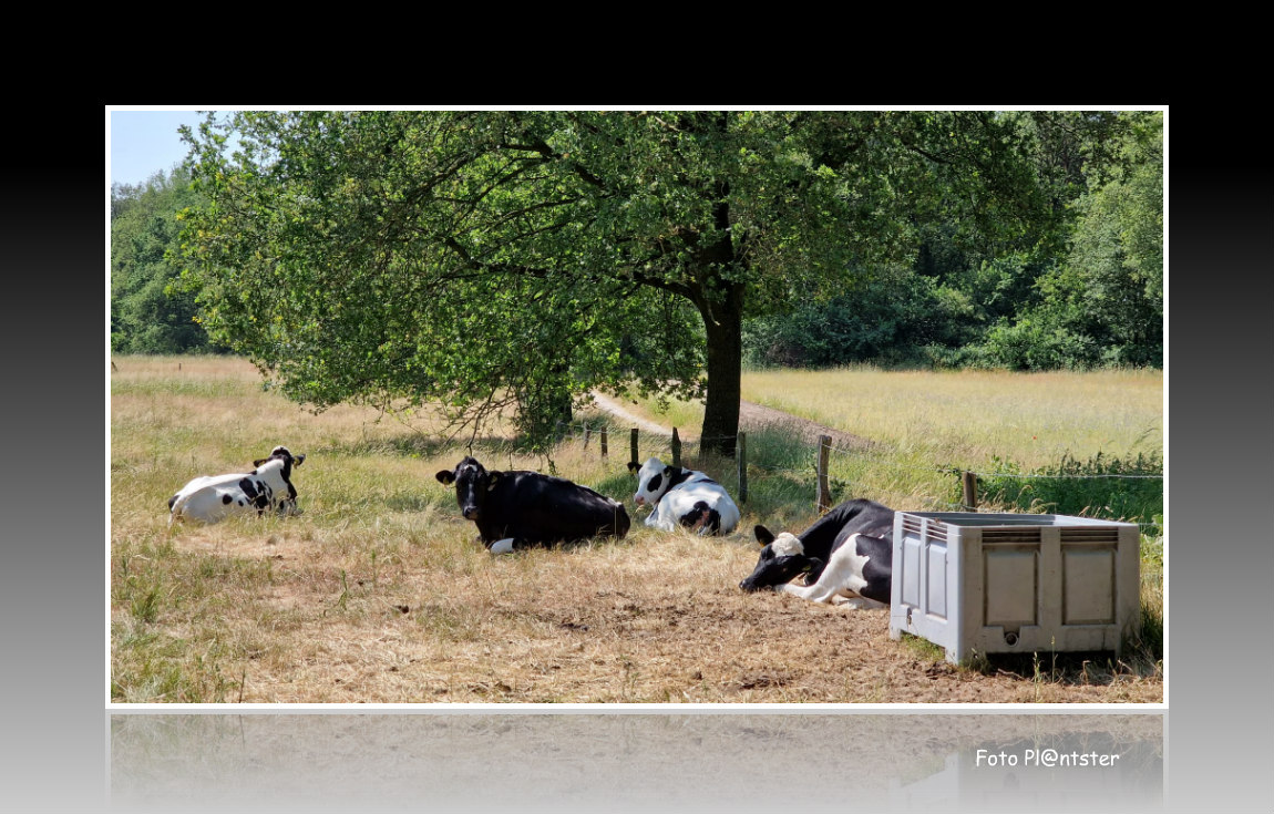 2815551b-6697-454d-ae3e-e4950adfd6e4 Hiittedag 2023!