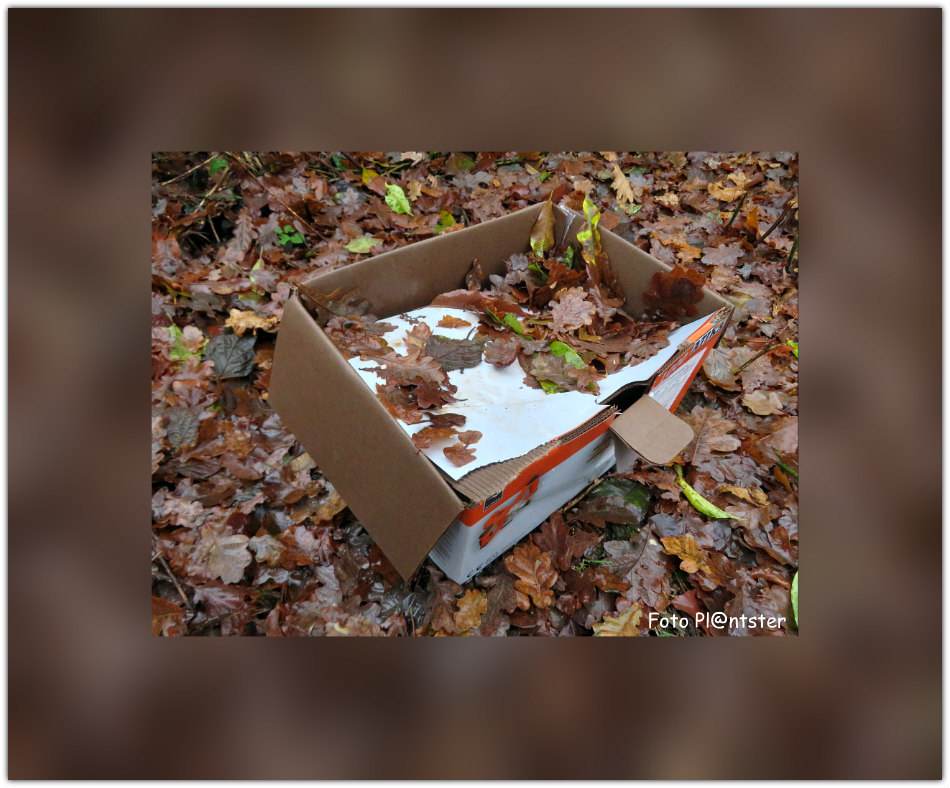 Een pak van mijn hart | Groene Vingers