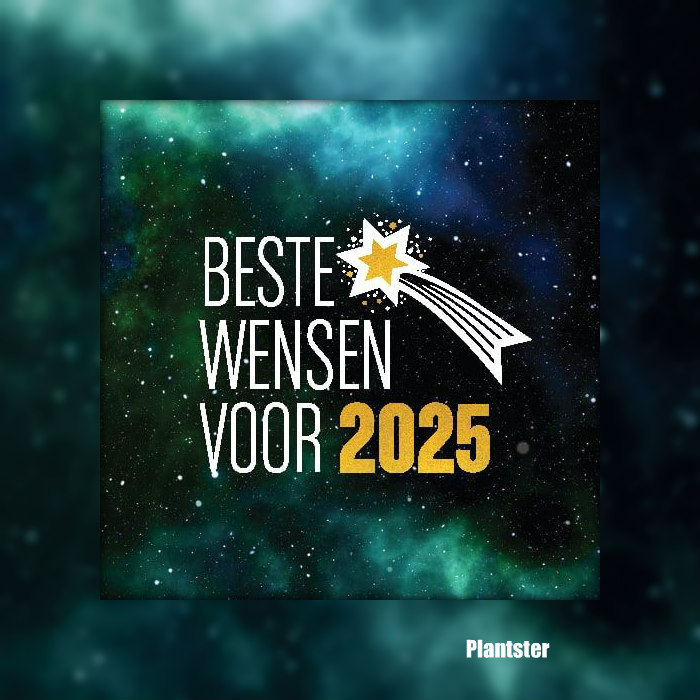nieuwjaarskaart 2025